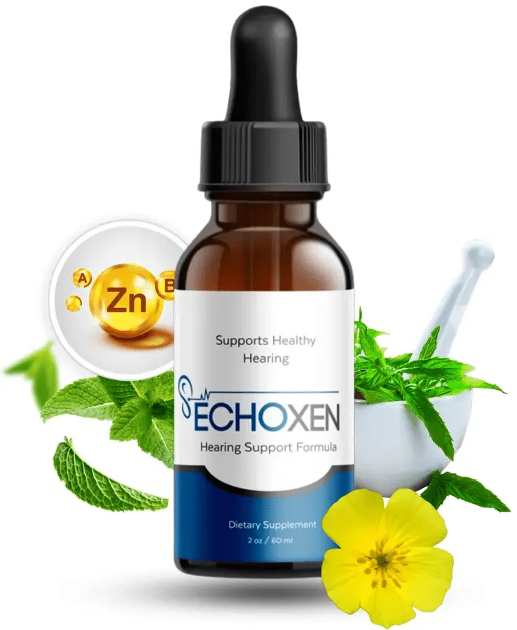 EchoXen-official
